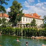 Maxmilian Lifestyle Loucen