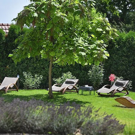 Maxmilian Lifestyle Hotel